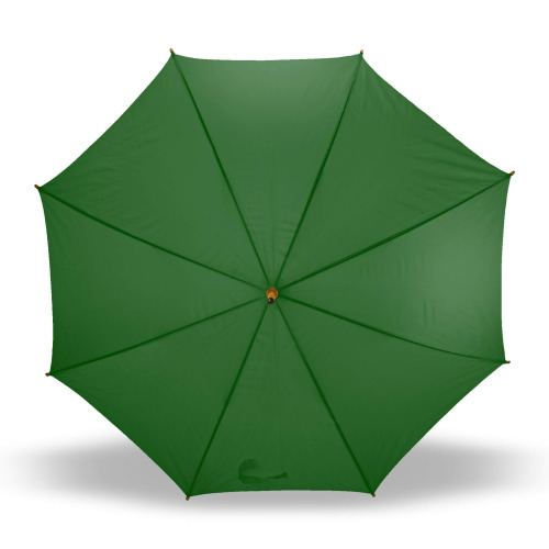 Parasol automatyczny | Hayden Zielony V4201-06 (1)