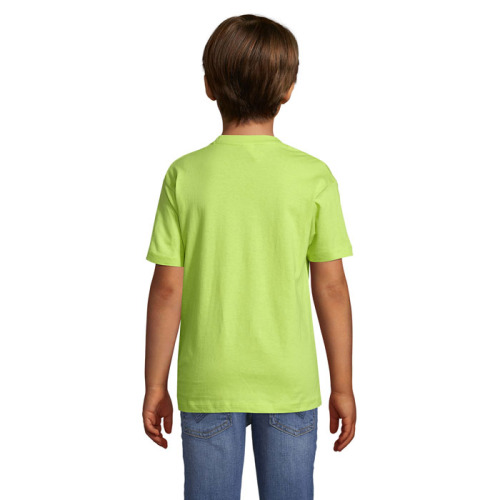 REGENT Dziecięcy T-SHIRT Apple Green S11970-AG-4XL (1)