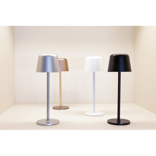 Lampka na biurko Zenic Srebrny P513.9702 (13)