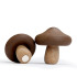 Magnesy Shiitake Brązowy QL10229-BN (1) thumbnail