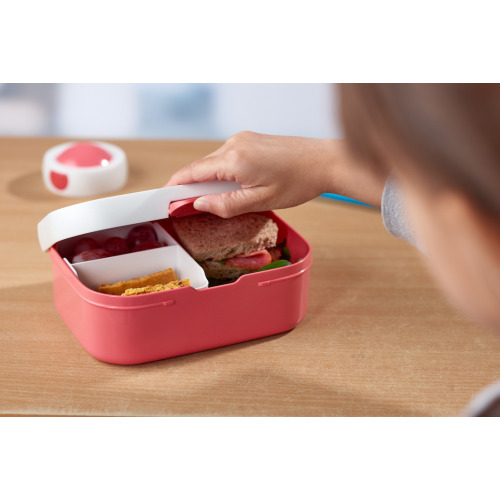 Lunchbox Campus różowy 107440078200 Różowy MPL107440078200 (9)