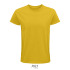 PIONEER MEN T-SHIRT 175g Dorado S03565-GO-XS  thumbnail