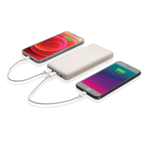 Power bank 10000 mAh Brązowy P322.299 (1)