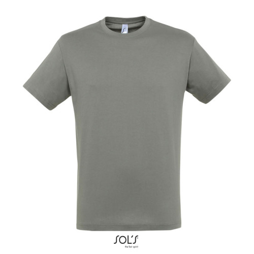 REGENT UNISEX T-SHIRT 150g Zinc S11380-ZI-L 