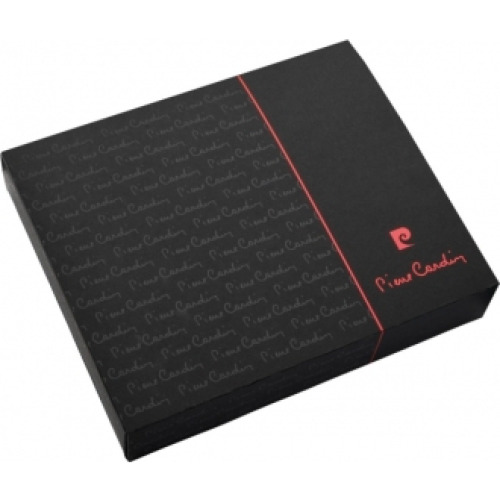 Folder z USB 8GB CHARENTE Pierre Cardin Szary B5600200IP307 (2)