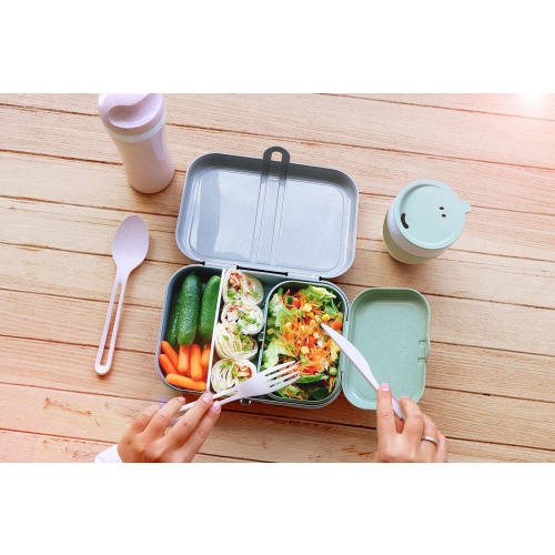 Lunchbox Pascal S organic green 3158668 Zielony KZL3158668 (1)