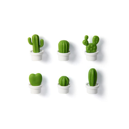 Magnesy Cactus 6-szt. Zielony QL10288-WH-GN 