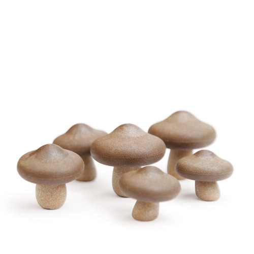 Magnesy Shiitake Brązowy QL10229-BN 