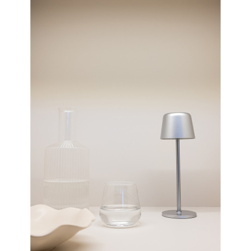 Lampka na biurko Zenic Srebrny P513.9702 (12)